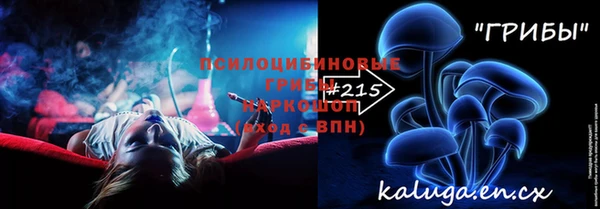бошки Верхний Тагил