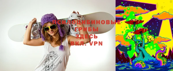 бошки Верхний Тагил